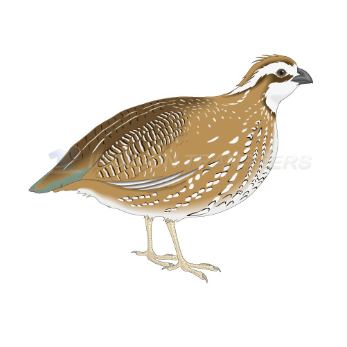 Birds Iron-on Stickers (Heat Transfers)NO.2186